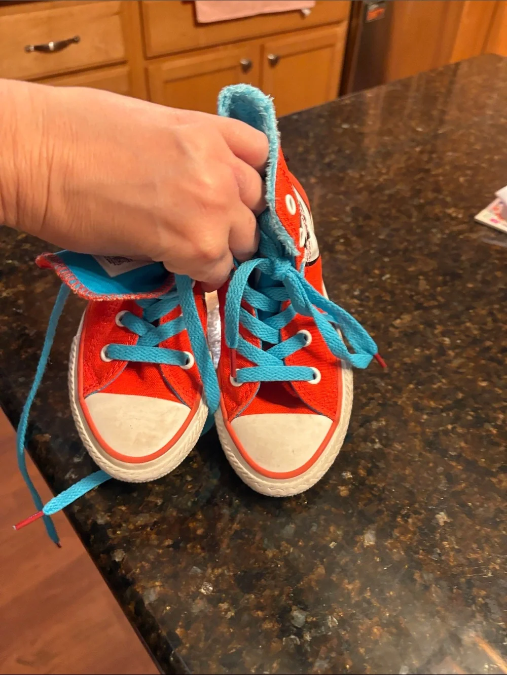 Kids thing 1&2 Converse High Tops
